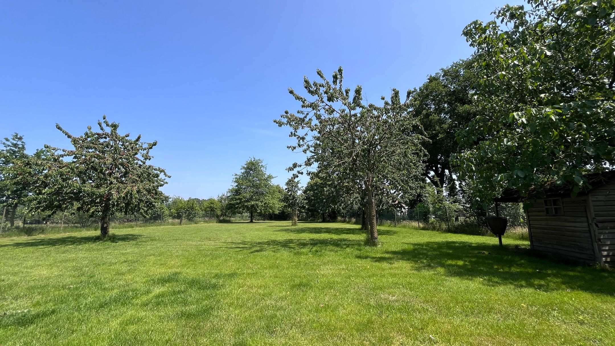 Photo 81 of Heide 17