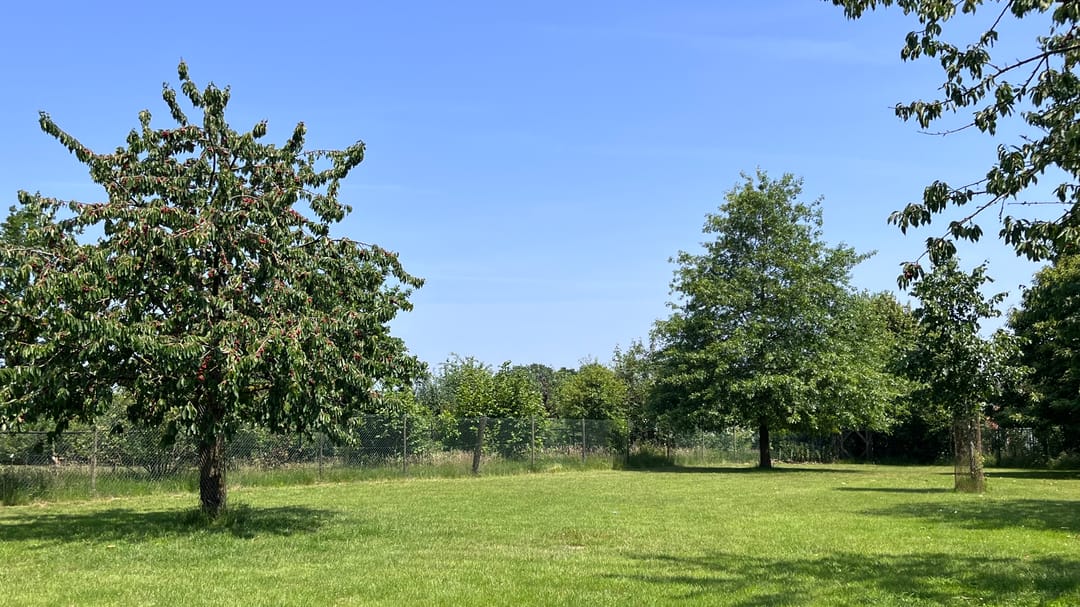 Photo 82 of Heide 17