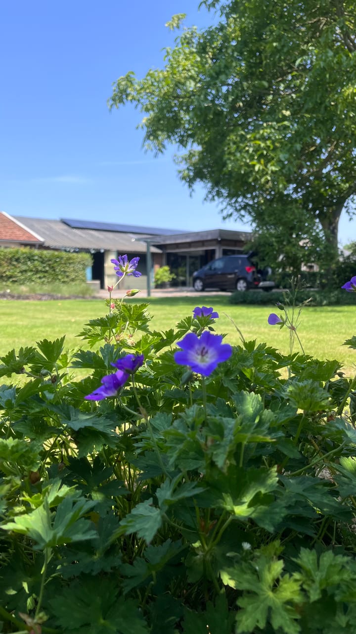 Foto 85 van Heide 17