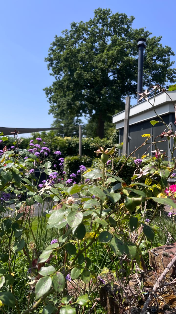 Foto 87 van Heide 17