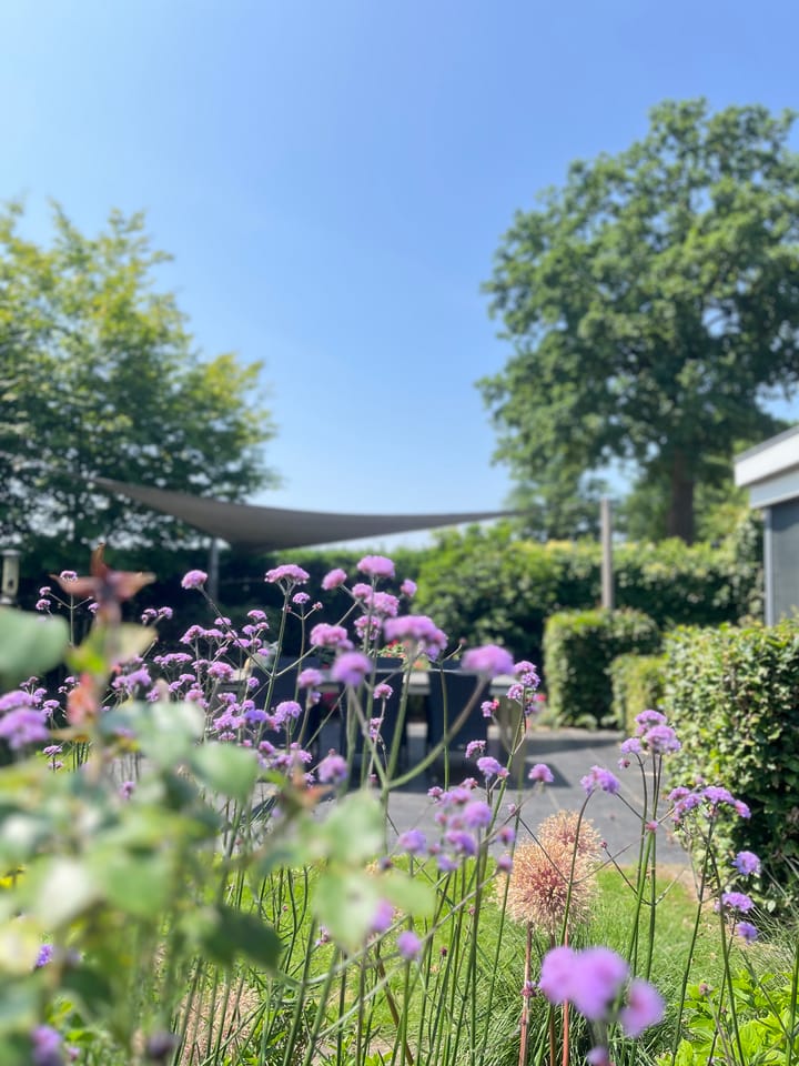 Foto 88 van Heide 17