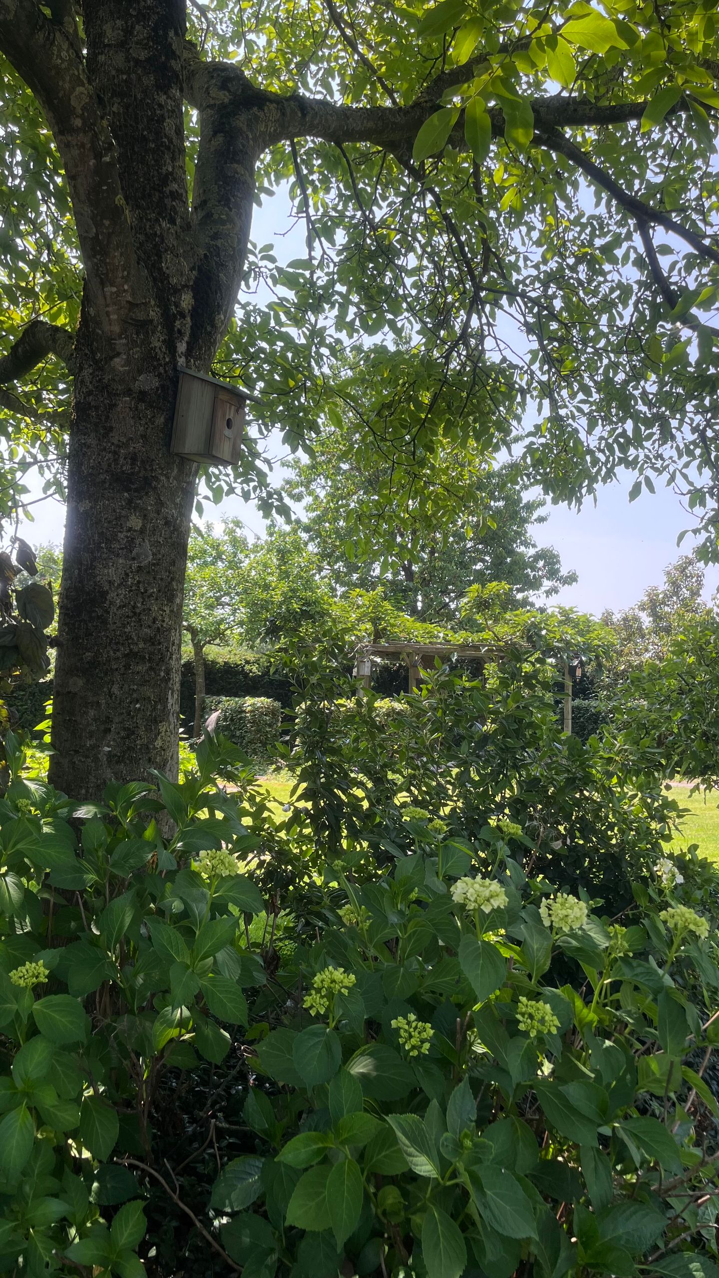 Photo 89 of Heide 17