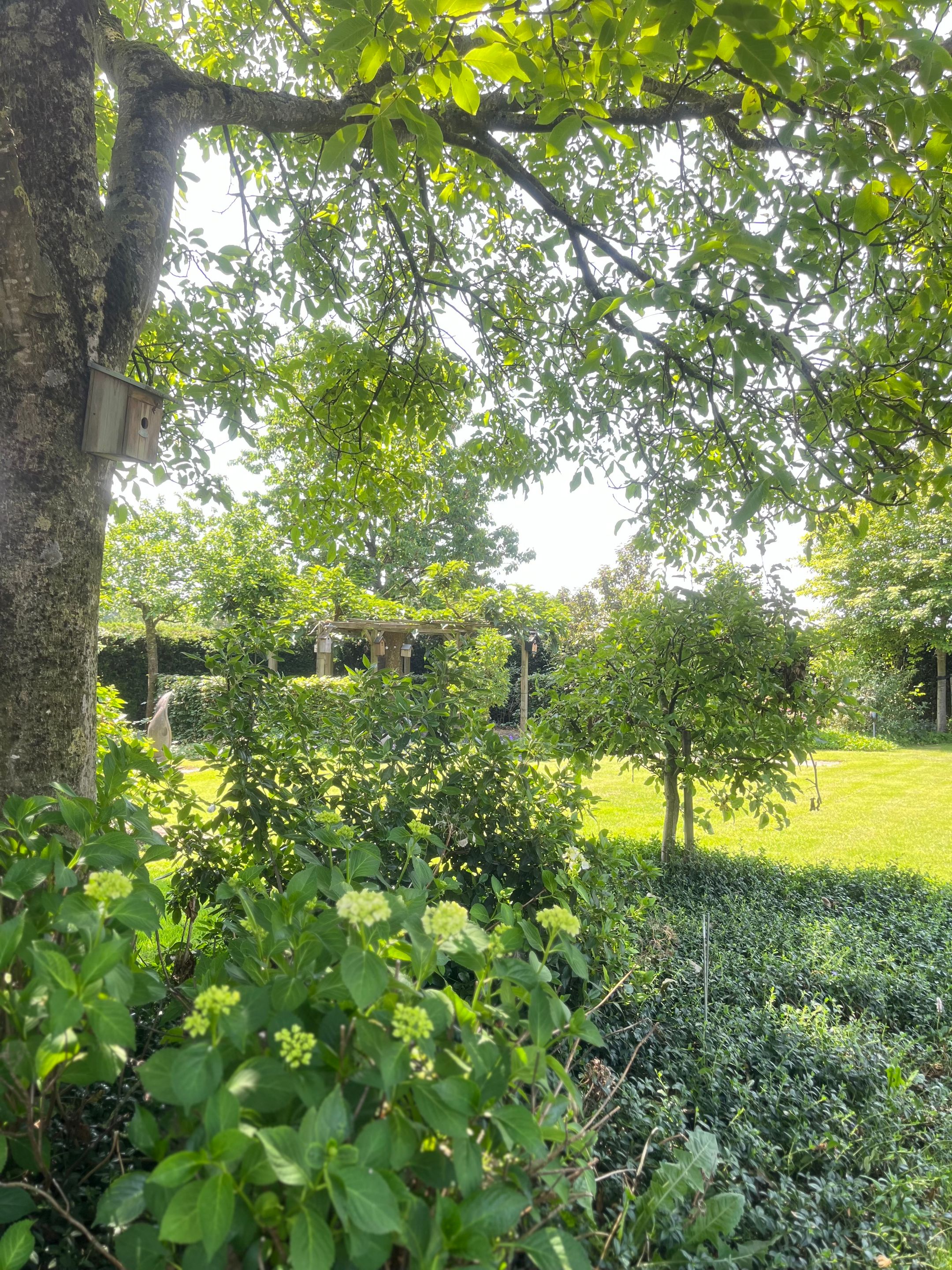 Photo 90 of Heide 17