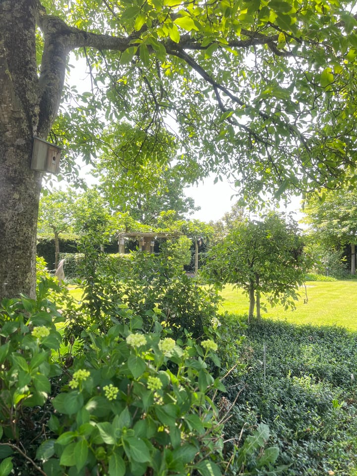 Foto 90 van Heide 17