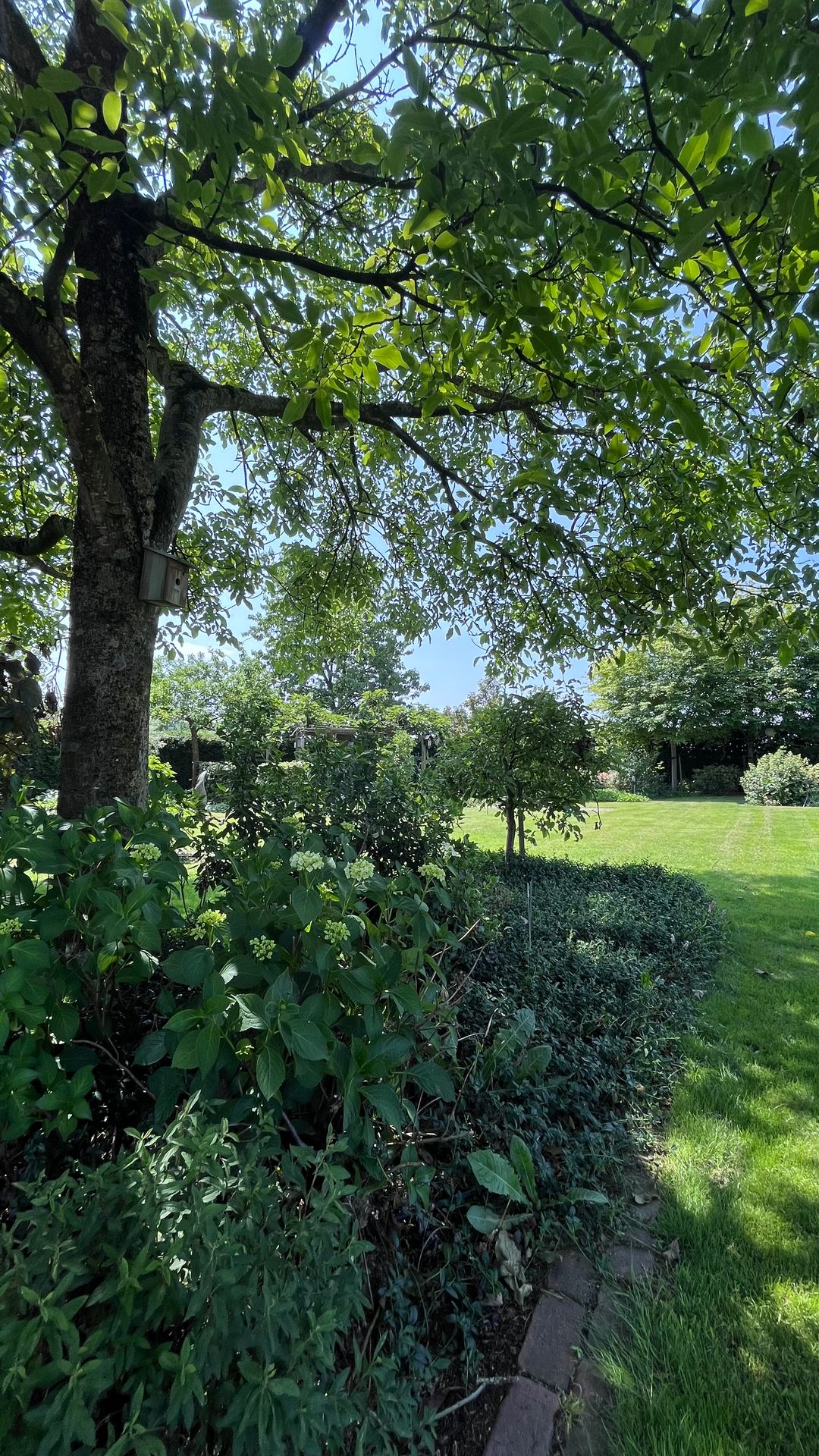 Photo 91 of Heide 17