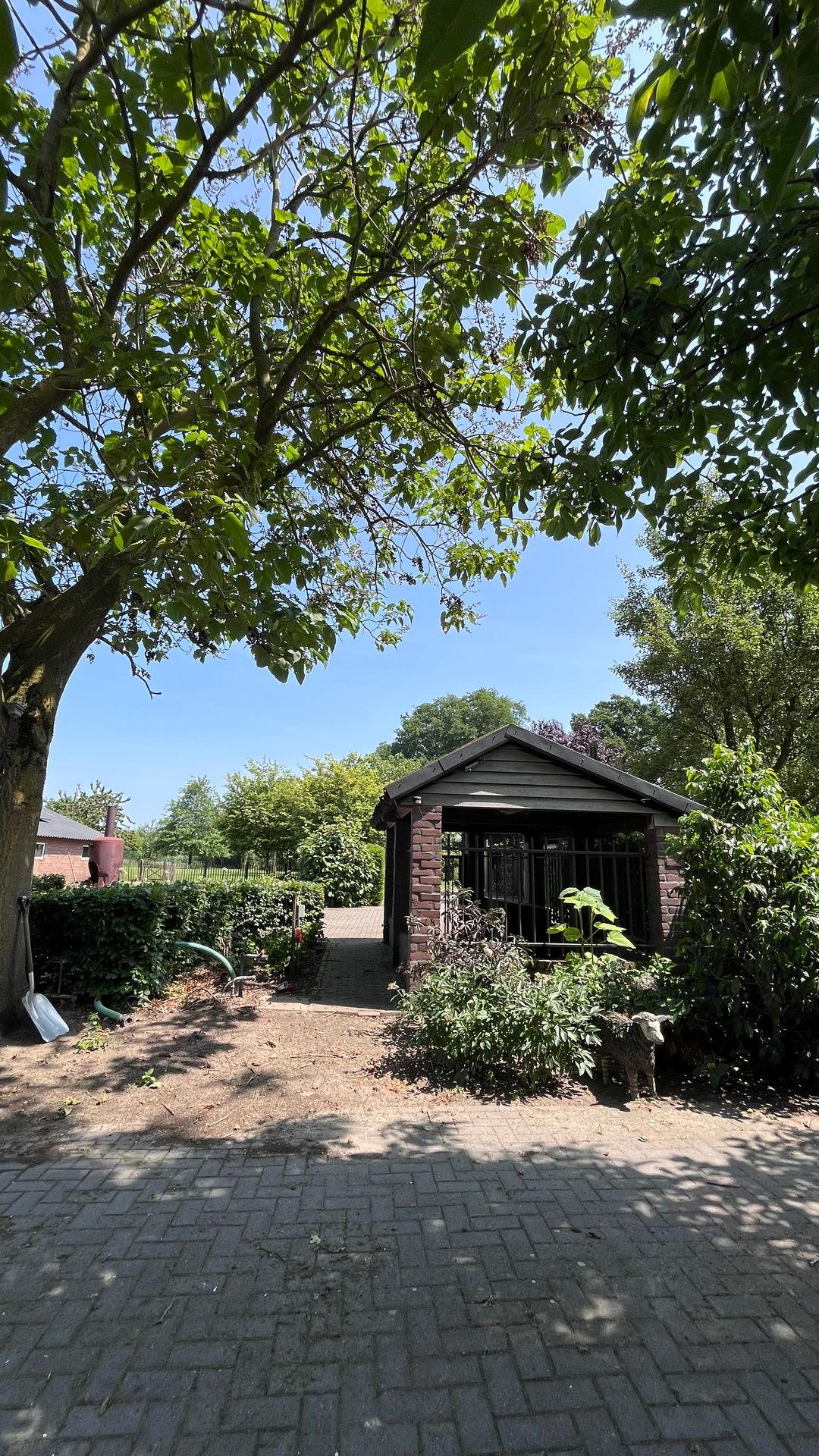 Photo 92 of Heide 17