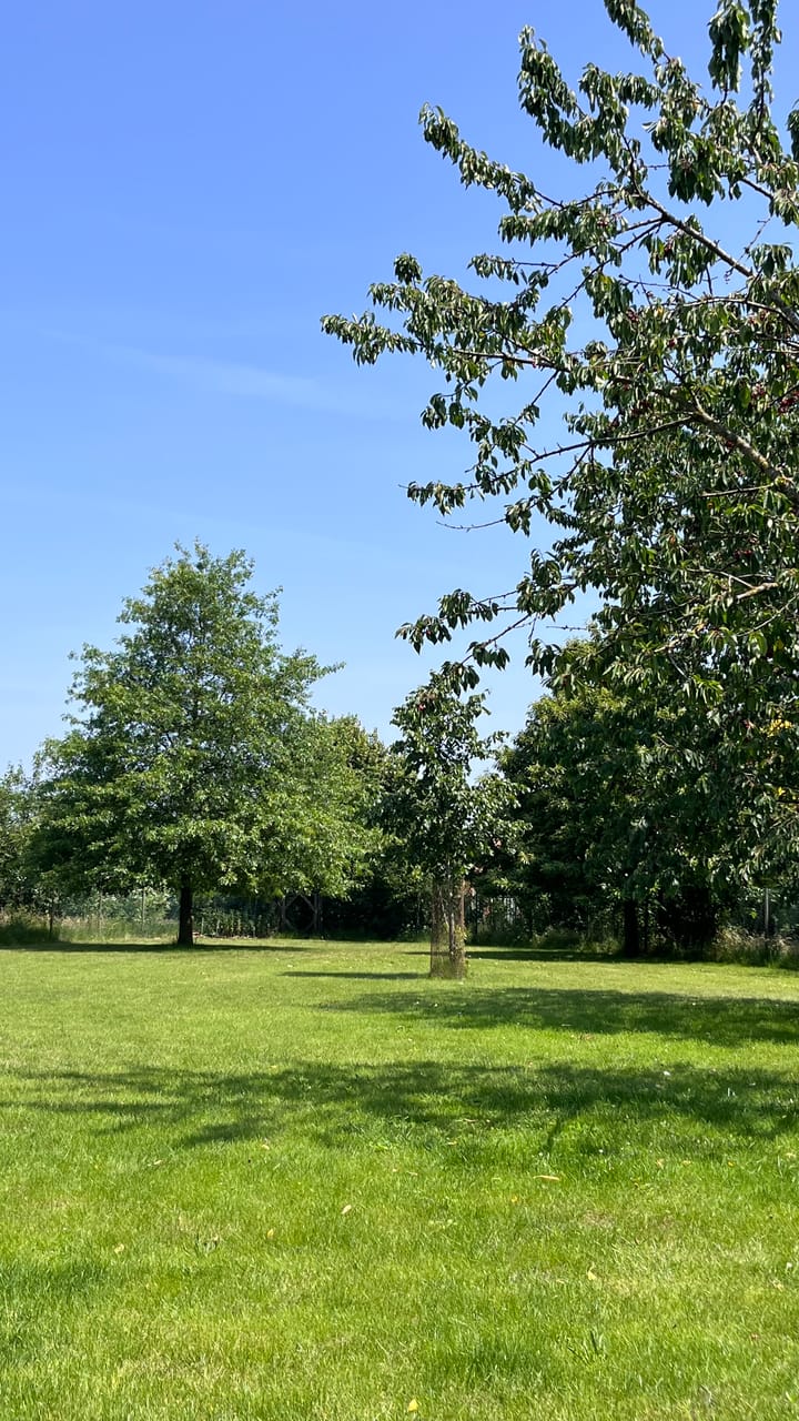 Foto 96 van Heide 17