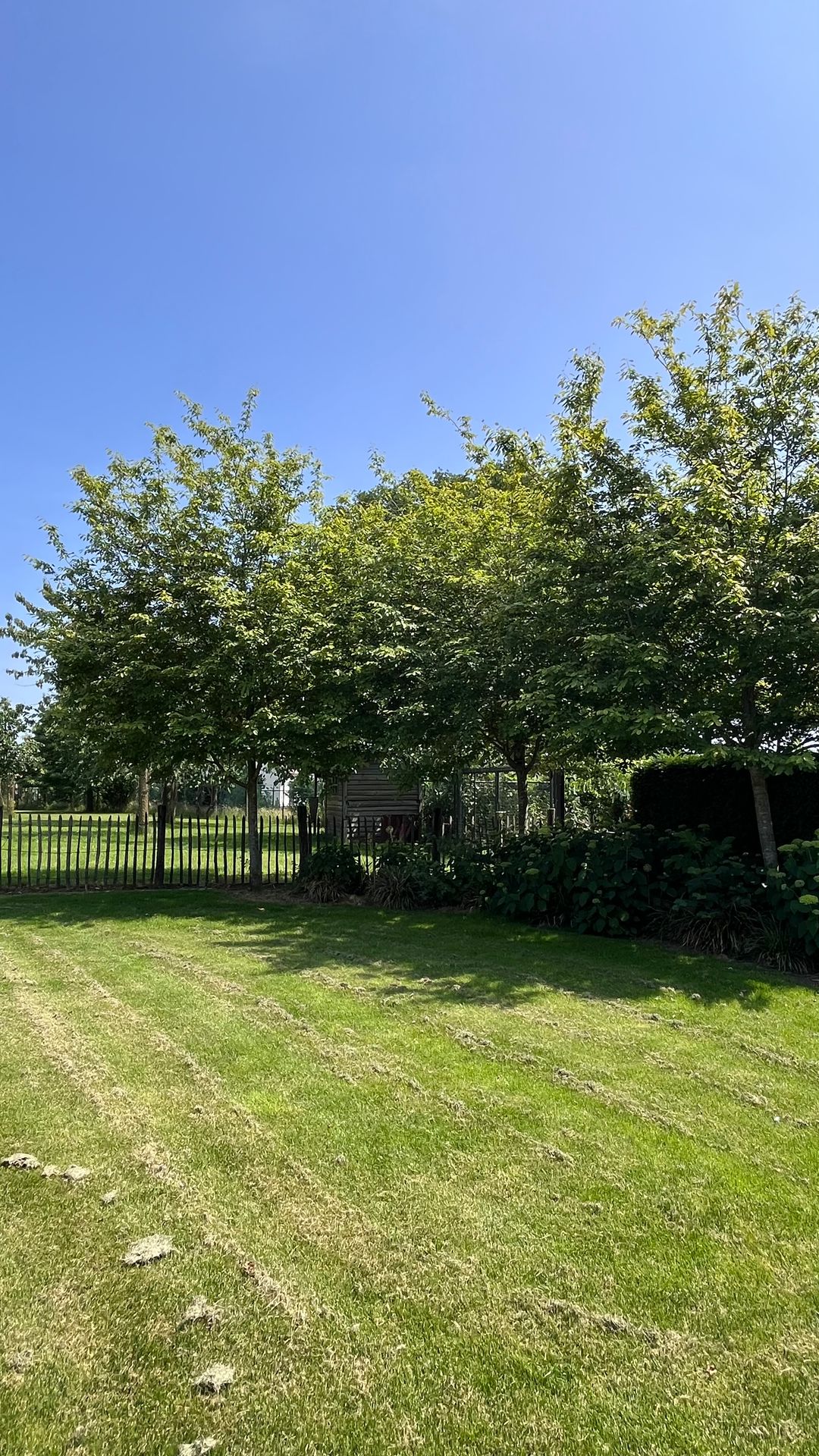 Photo 98 of Heide 17