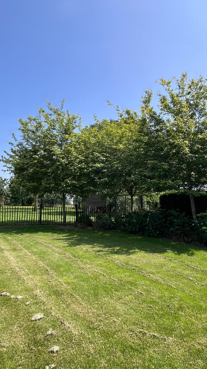 Foto 98 van Heide 17