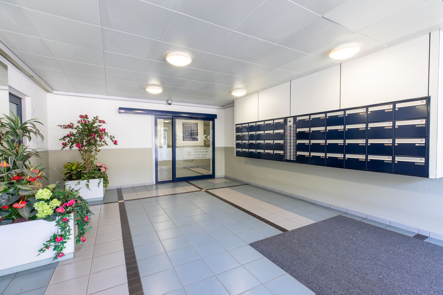 Foto 19 van Vrieheidepark 115