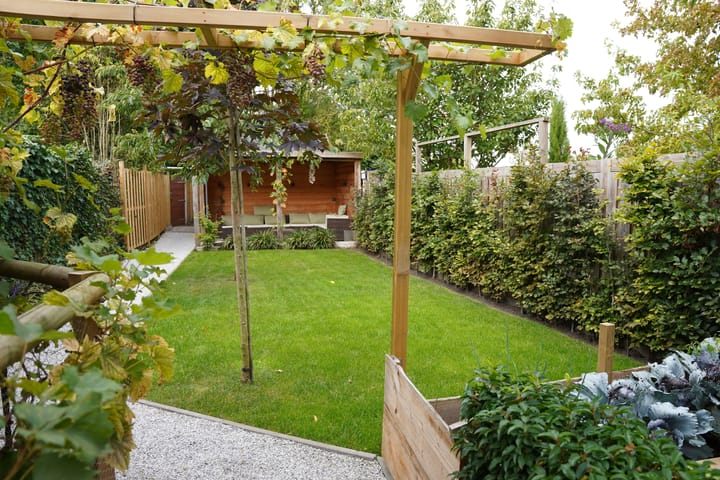 Foto 4 van Sassenstraat 15