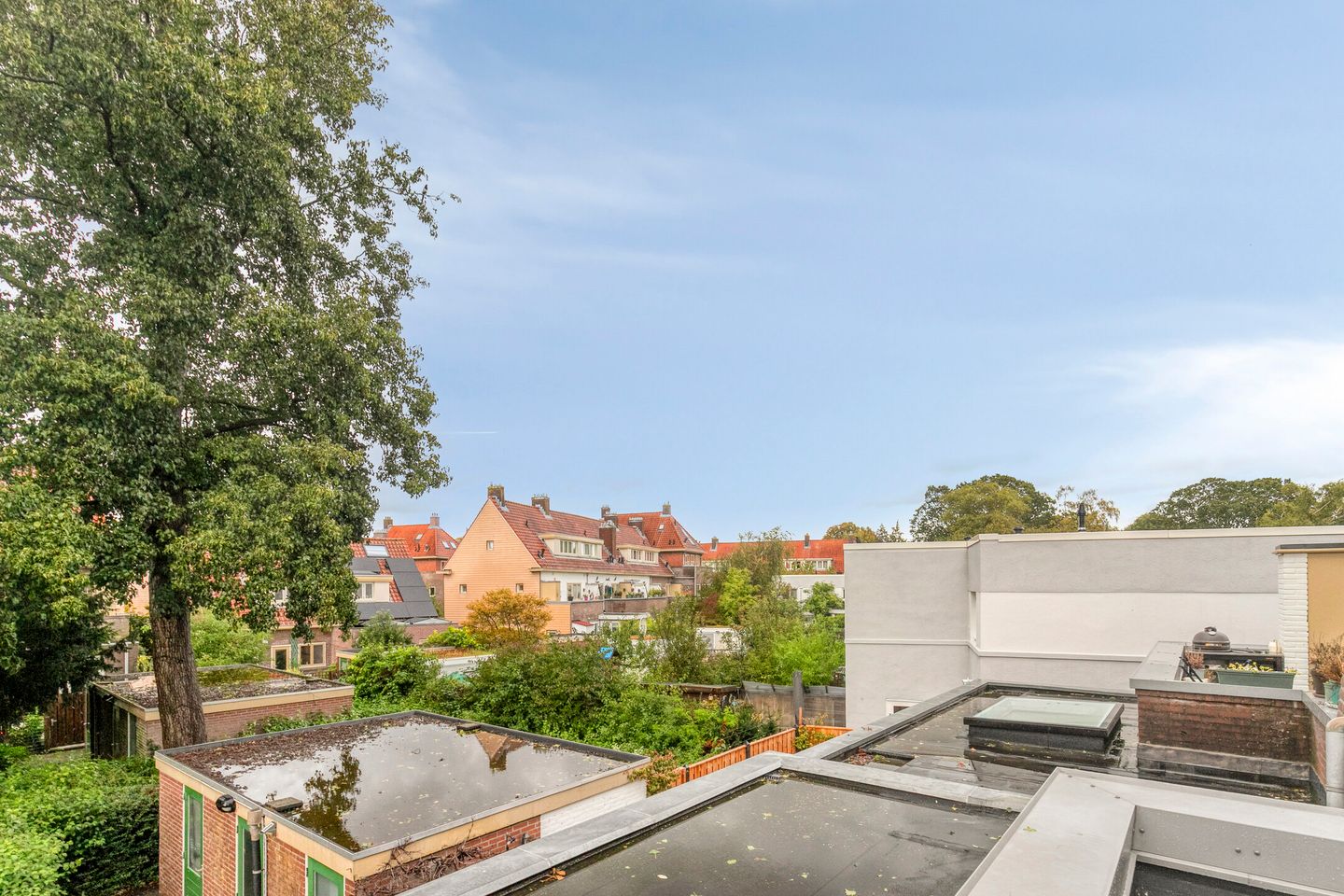 Foto 29 van Tuinbouwstraat 26