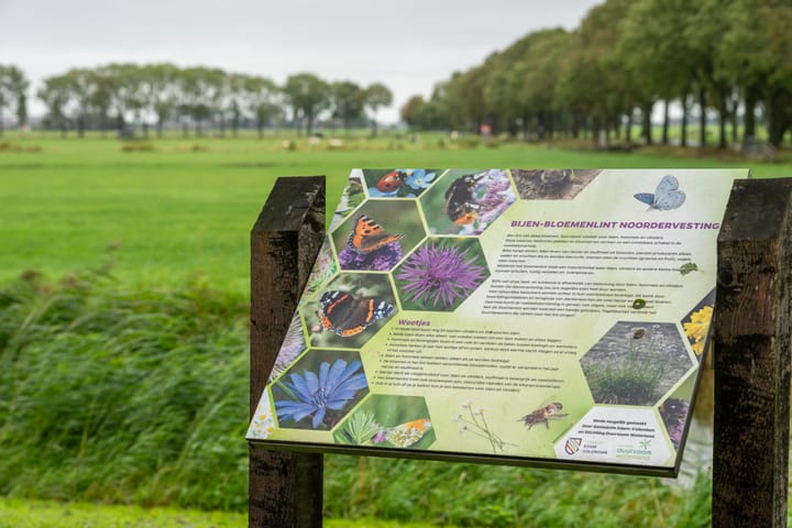 Foto 52 van Noorderstraat 8