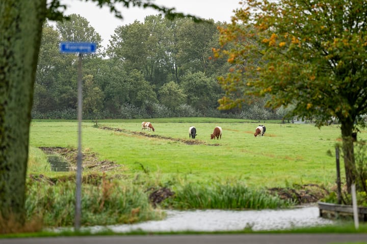 Foto 53 van Noorderstraat 8