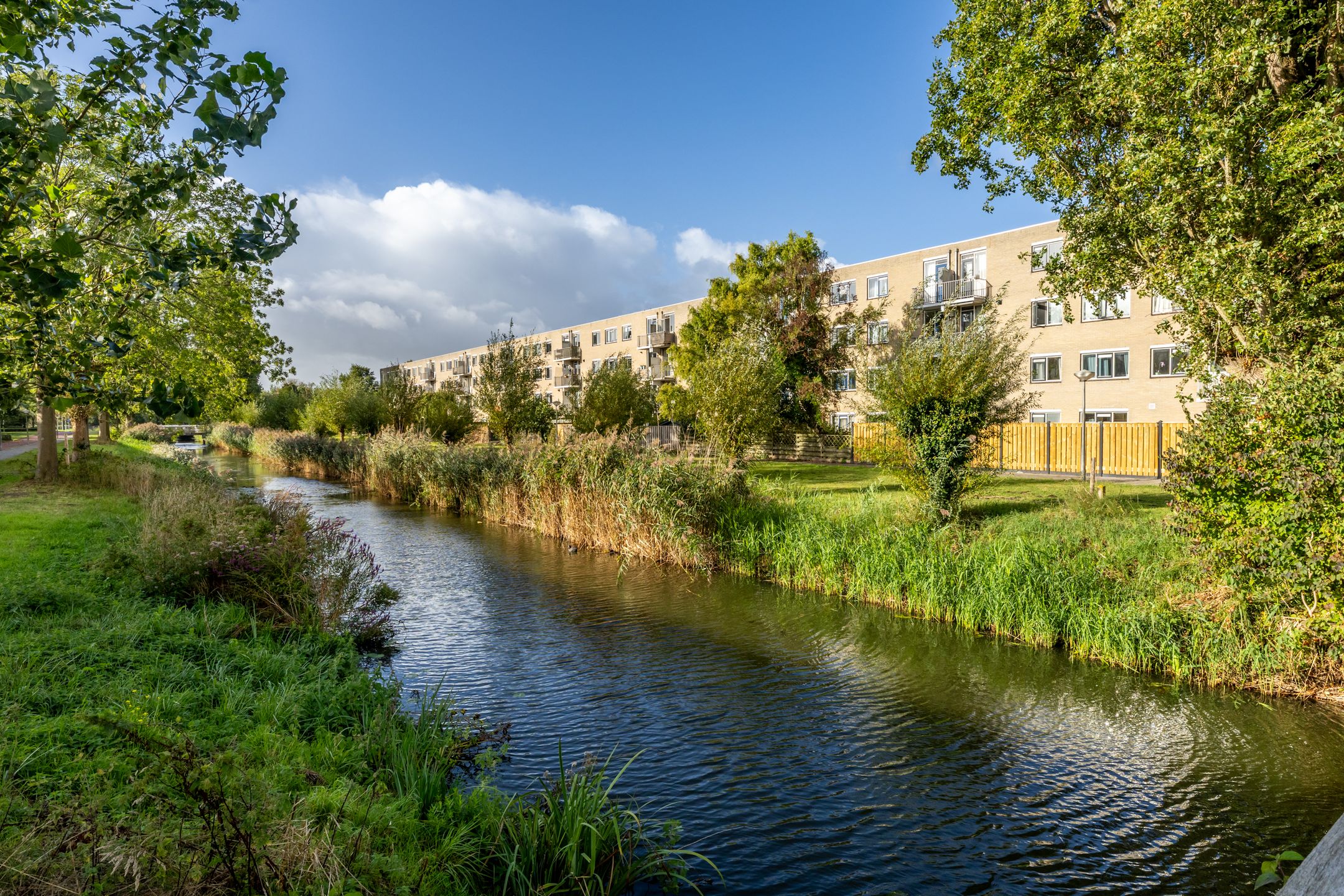 Schaarsbergenstraat, 98, Amsterdam, 1107JX, Noord-Holland, Nederland 98