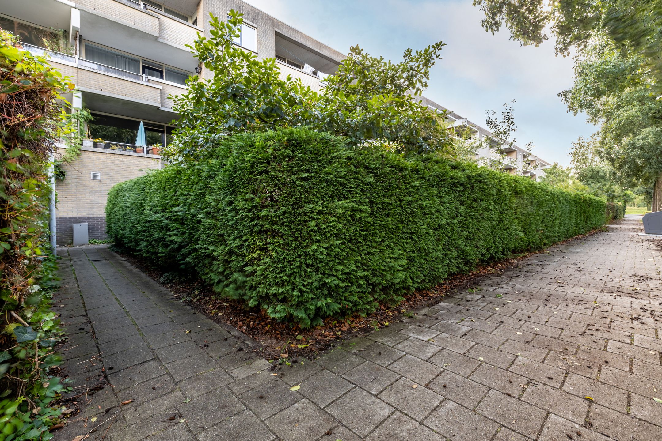 Foto 39 van Schaarsbergenstraat 98