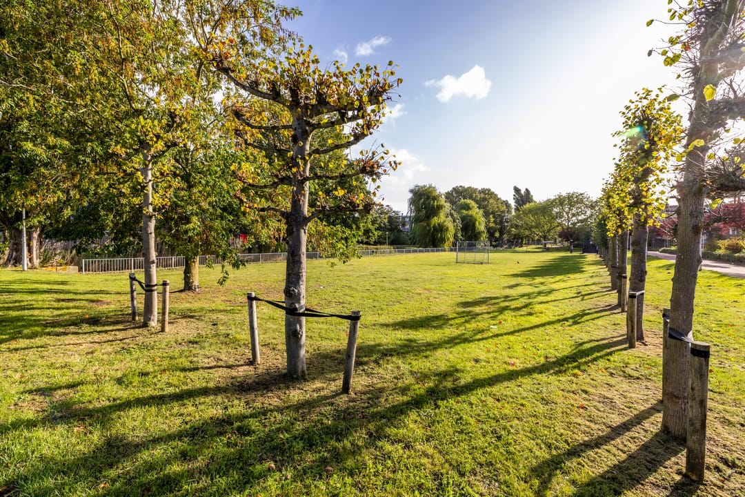 Foto 43 van Schaarsbergenstraat 98