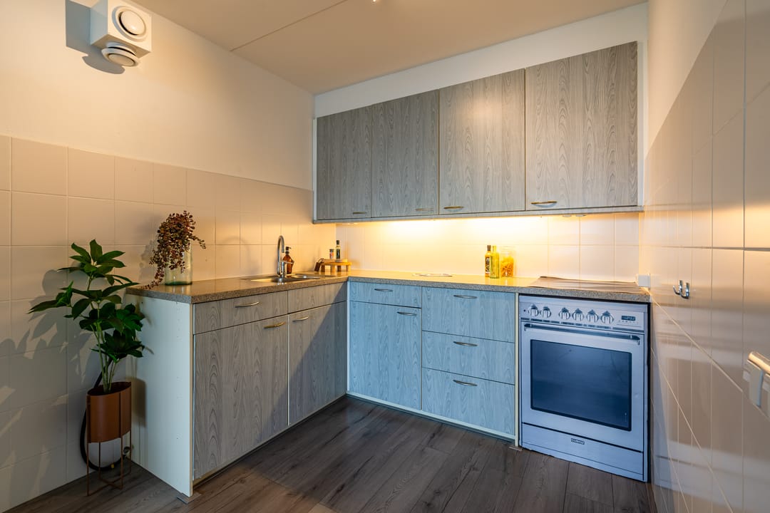 Foto 7 van Lupinesingel 208