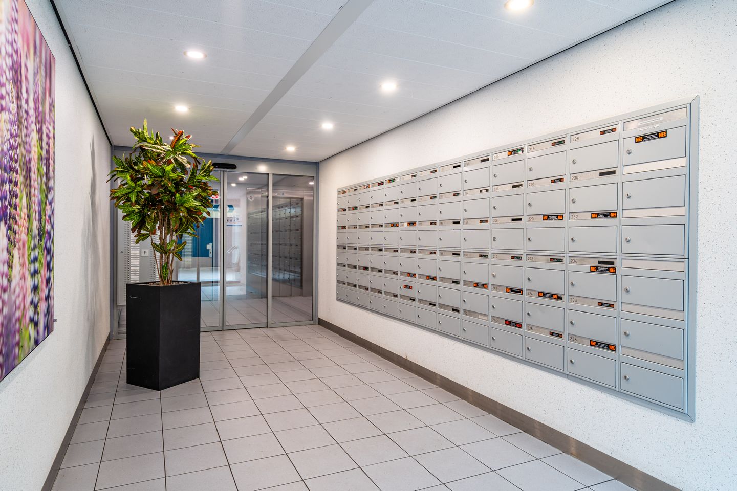 Foto 25 van Lupinesingel 208