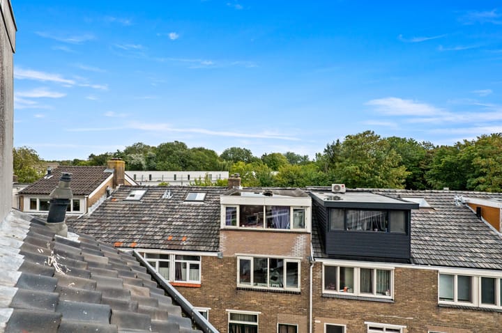 Foto 33 van Ternatestraat 78