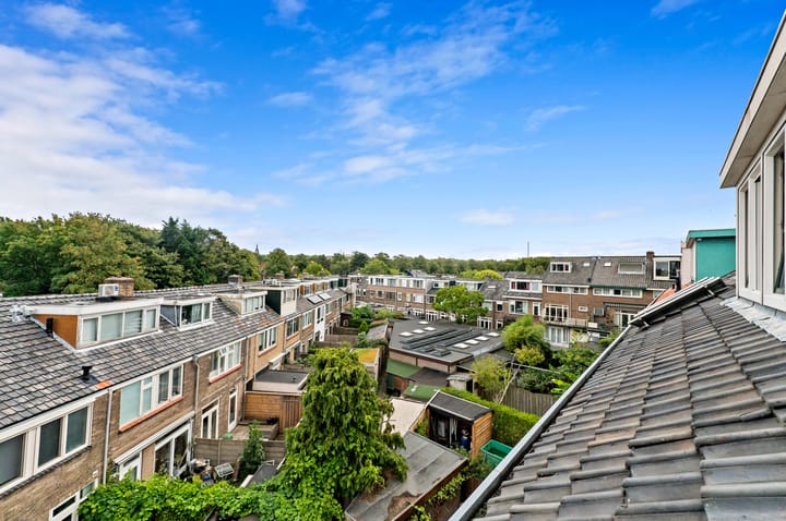 Foto 34 van Ternatestraat 78