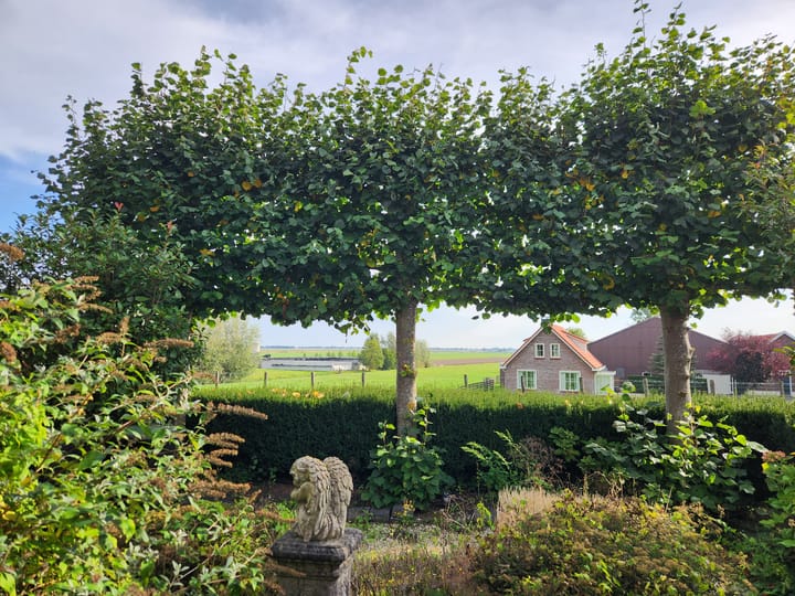 Photo 7 of Boddens Hosangweg 22