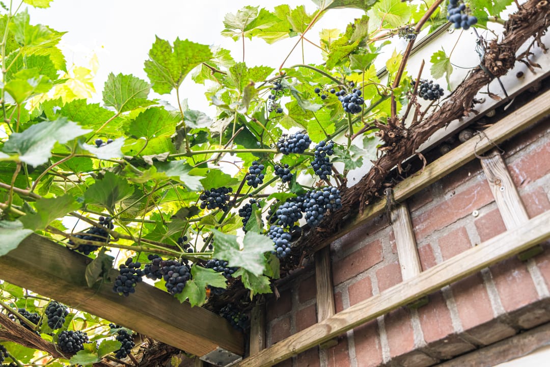 Photo 31 of Hoogstraat 76