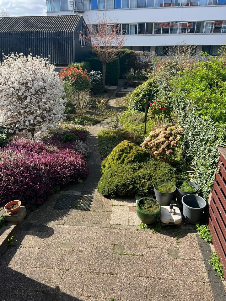 Foto 21 van Nieuwemeerdijk 147