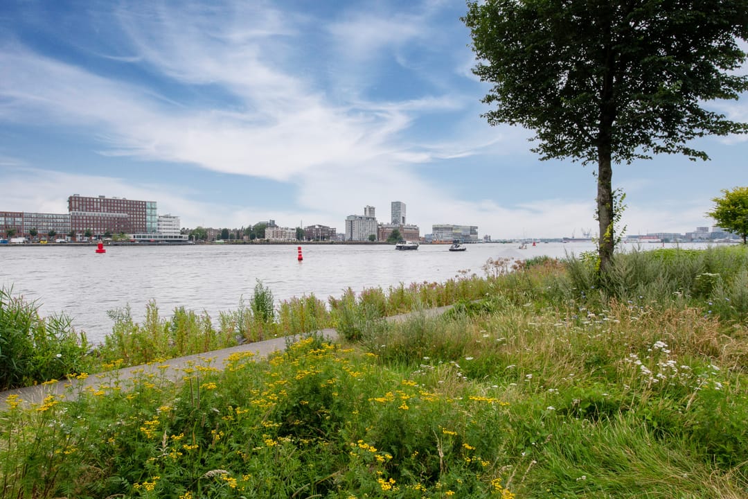 Foto 37 van Bundlaan 236