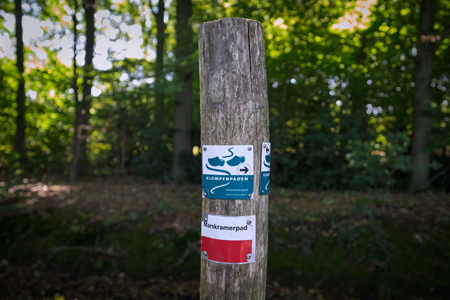 Foto 40 van Molenweg 41