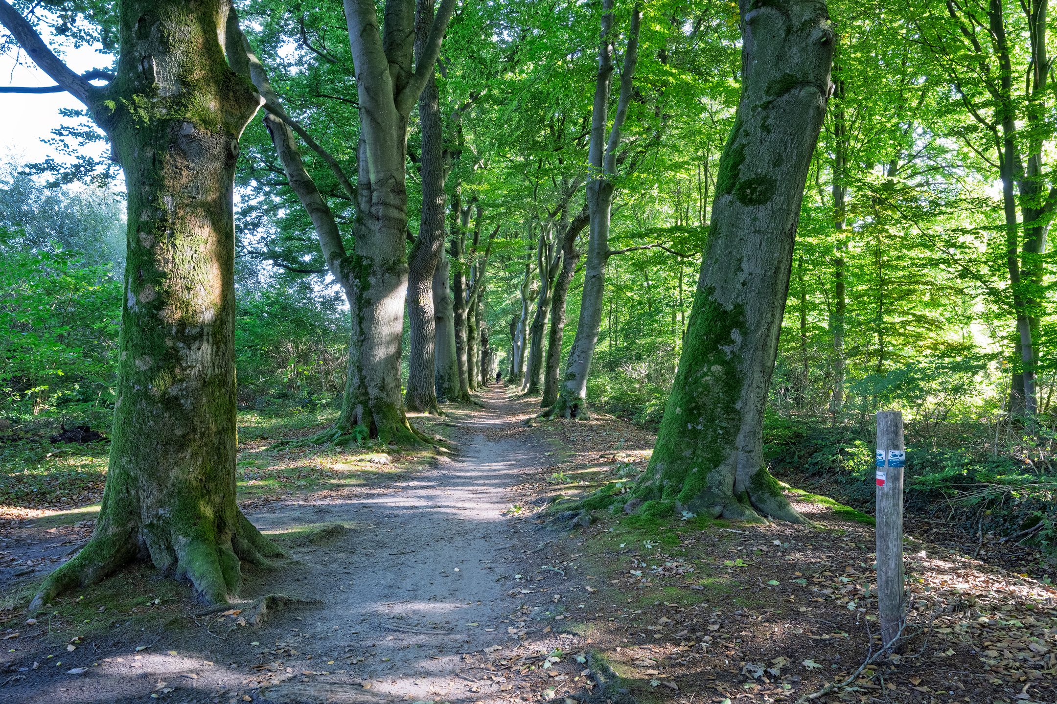 Foto 39 van Molenweg 41