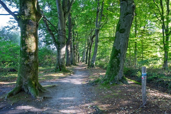 Foto 39 van Molenweg 41