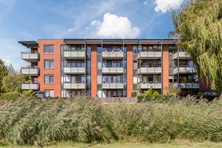 Photo 29 of Polaris 5