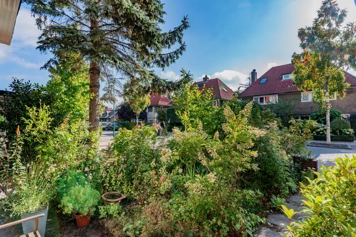 Foto 6 van Waterweg 221