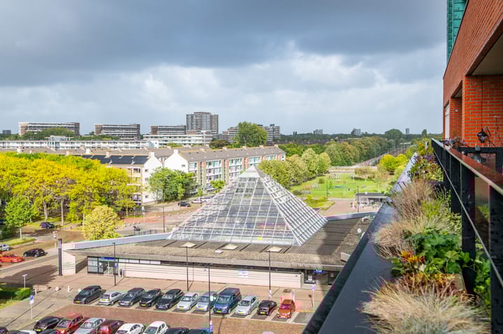 Foto 2 van Papyruspad 177