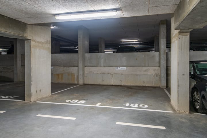 Foto 4 van Papyruspad 177