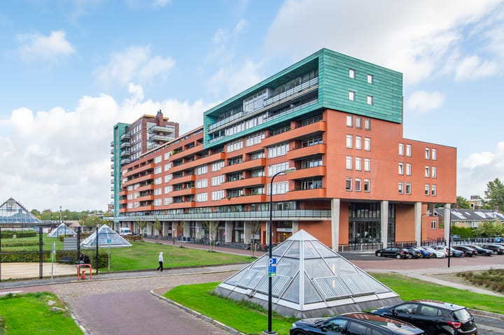 Foto 7 van Papyruspad 177