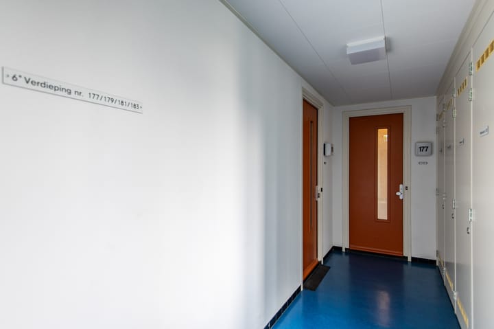 Foto 12 van Papyruspad 177