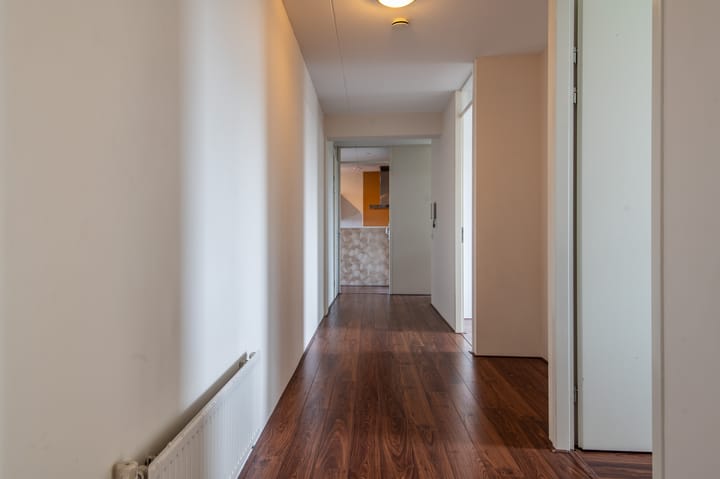 Foto 13 van Papyruspad 177