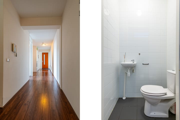 Foto 14 van Papyruspad 177