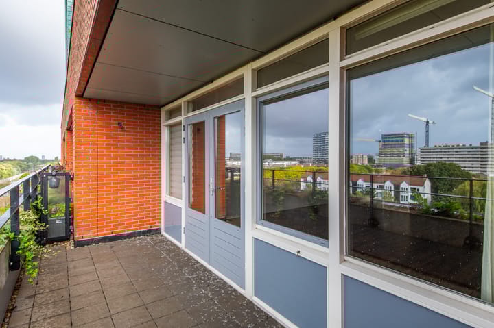 Foto 20 van Papyruspad 177