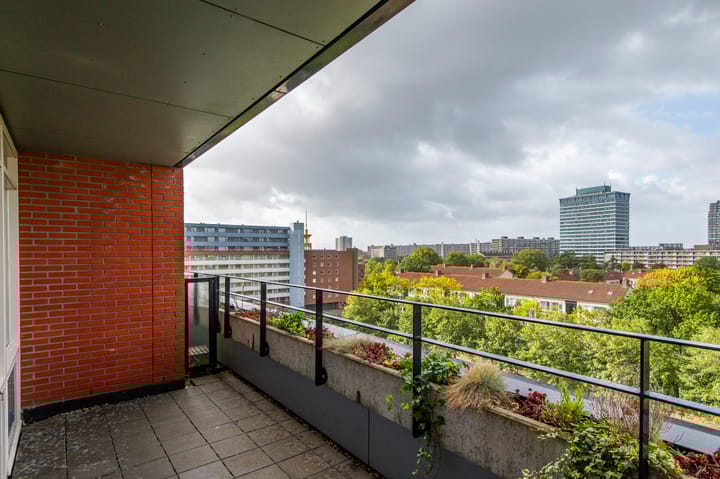 Foto 23 van Papyruspad 177