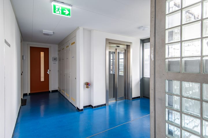 Foto 11 van Papyruspad 177