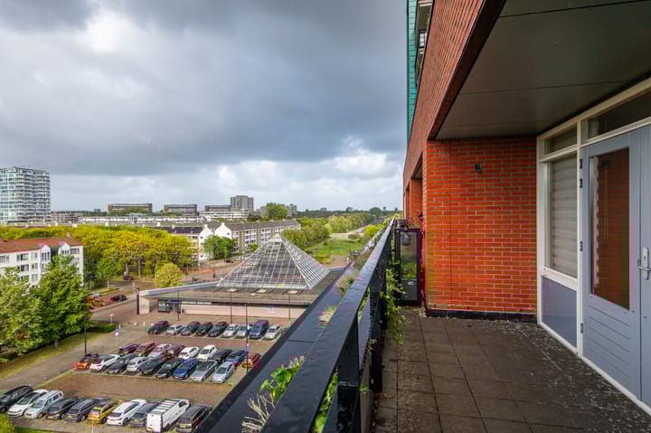 Foto 24 van Papyruspad 177