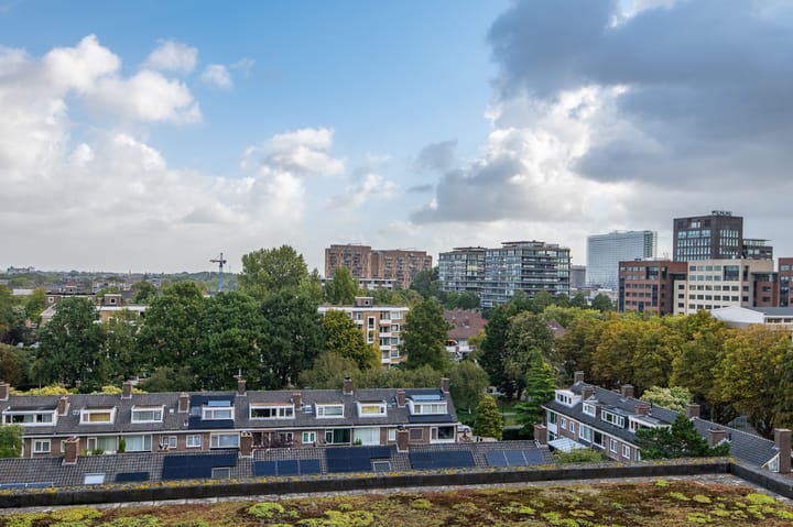 Foto 37 van Papyruspad 177