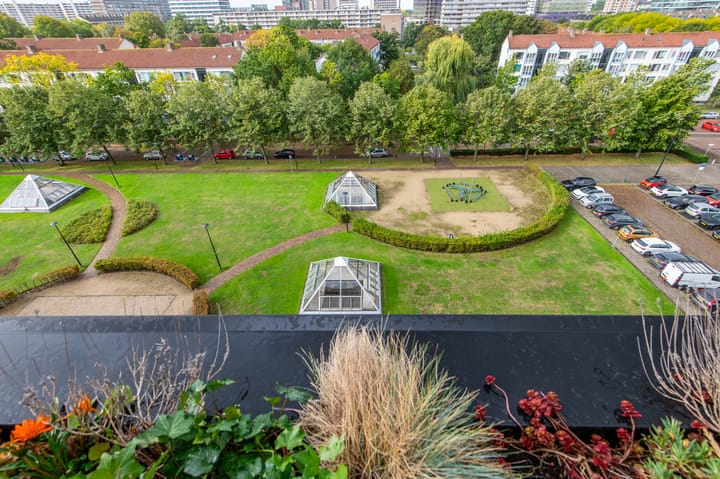 Foto 22 van Papyruspad 177