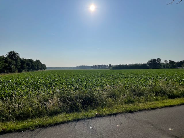 View photo 2 of Perceel Strijbeekseweg Chaam F 16