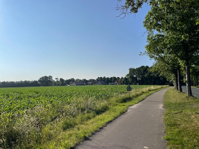 View photo 3 of Perceel Strijbeekseweg Chaam F 16