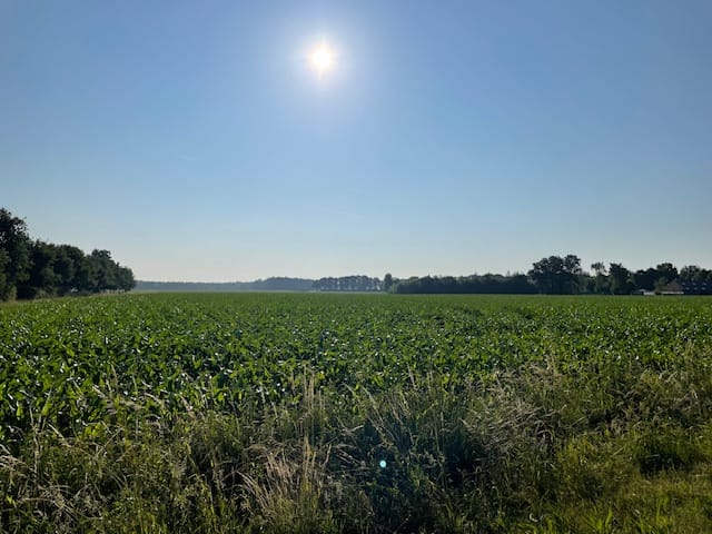 View photo 4 of Perceel Strijbeekseweg Chaam F 16