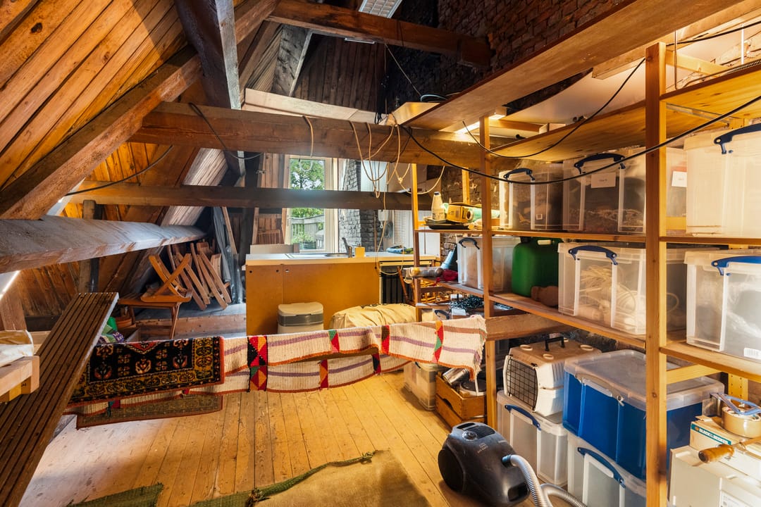 Foto 46 van Albrecht Dürerstraat 31-1